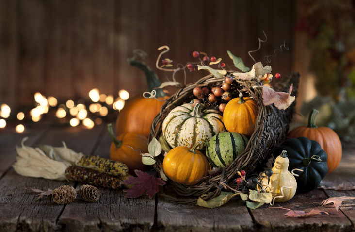 Thanksgiving autumn harvest pumpkin cornucopia